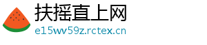 扶摇直上网